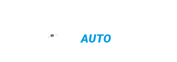 AUTO DI MAGGIO